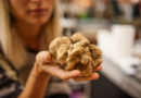 Inizia la Fiera Internazionale del Tartufo Bianco di Alba 2026